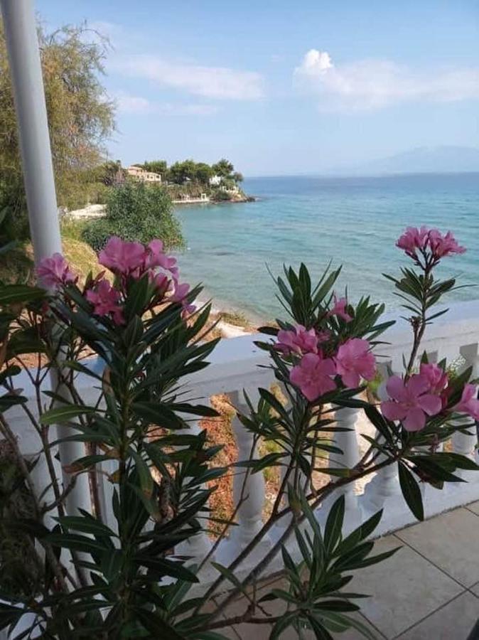 Clear Horizon Aparthotel Amoudi Bagian luar foto